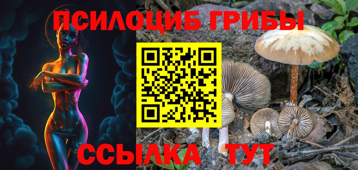 Борисоглебск  Псилоцибиновые грибы MAGIC MUSHROOMS  Вход с VPN 